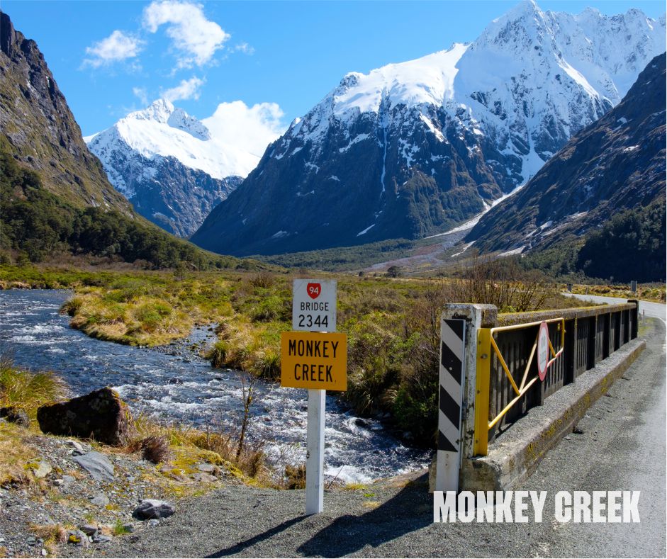 Scenic view of Money Creek in New Zealand, showcasing lush greenery and crystal-clear waters in a tranquil natural setting.